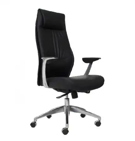 Silla Ejecutiva President