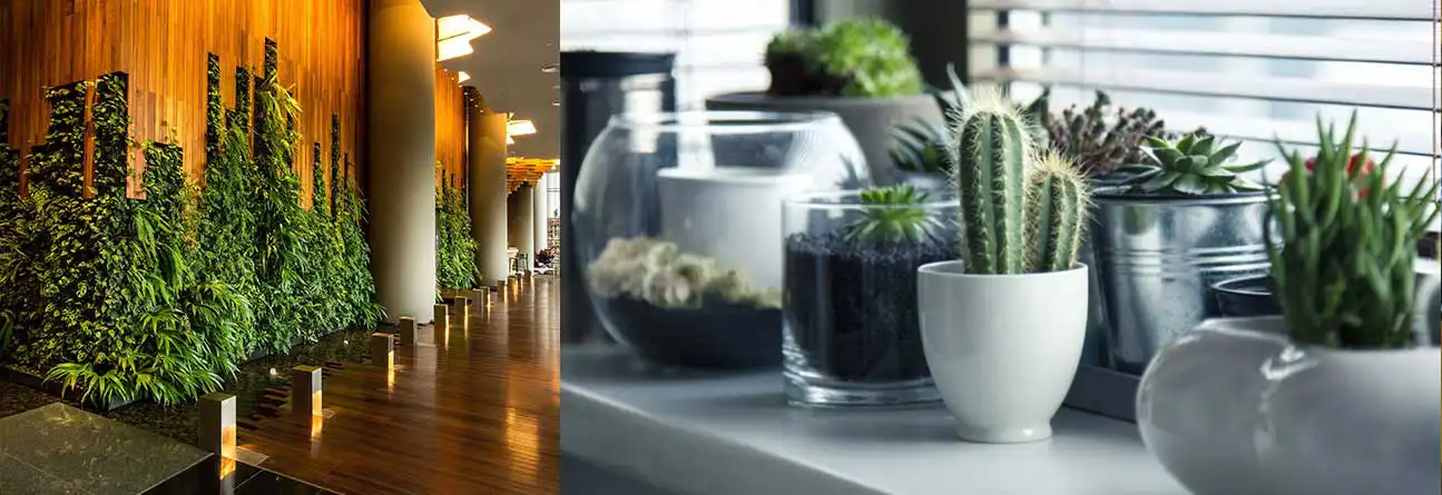 El Diseño Biofílico y sus Beneficios en Oficinas